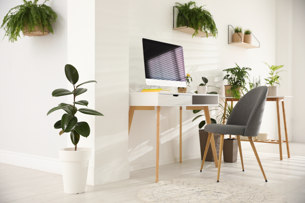 Modern,workplace,in,room,decorated,with,green,potted,plants.,home